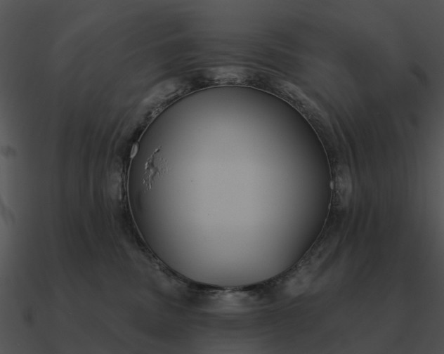 X0000090710379200708031438