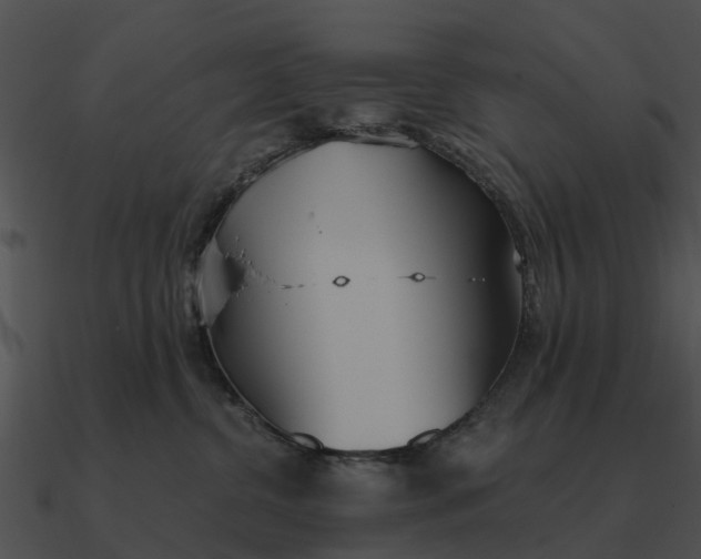 X0000090710380200708031438