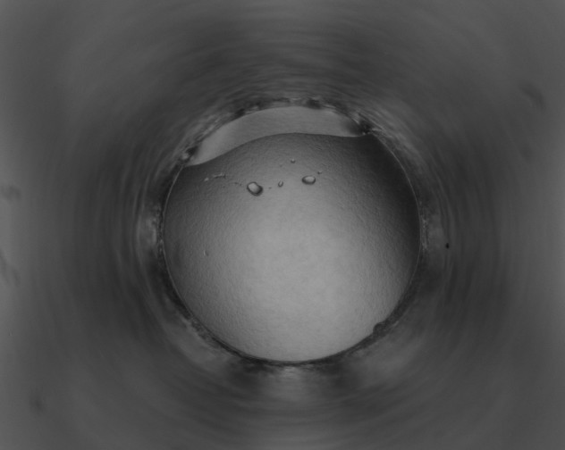 X0000090710382200708031438