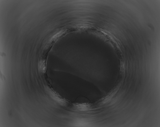 X0000090710383200708031438