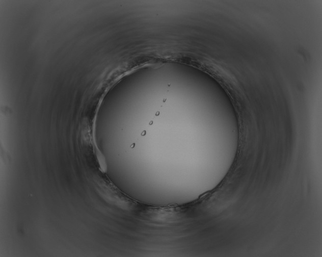 X0000090710384200708031438