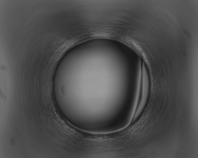 X0000090710385200708031437