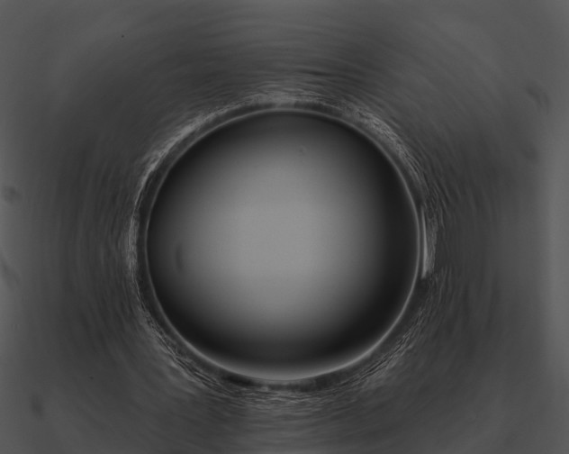 X0000090710387200708031437