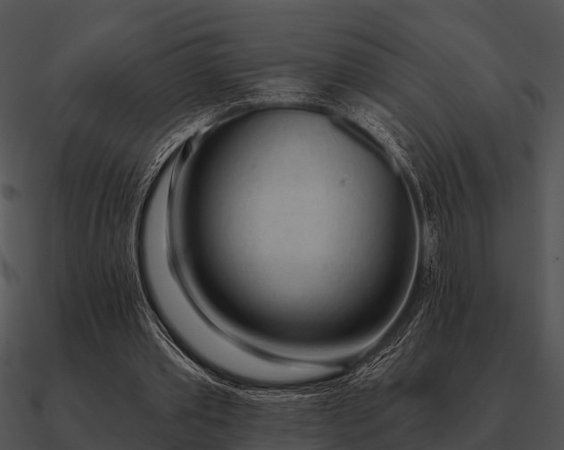 X0000090710389200708031437