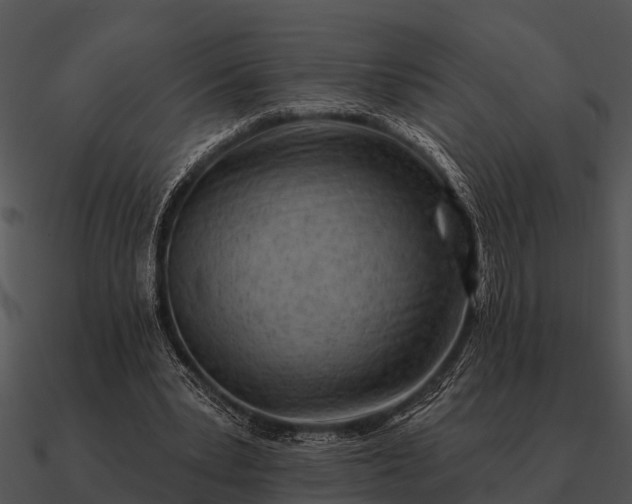 X0000090710391200708031437