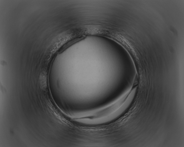 X0000090710393200708031437