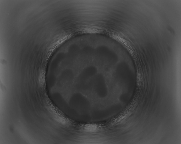 X0000090710394200708031437