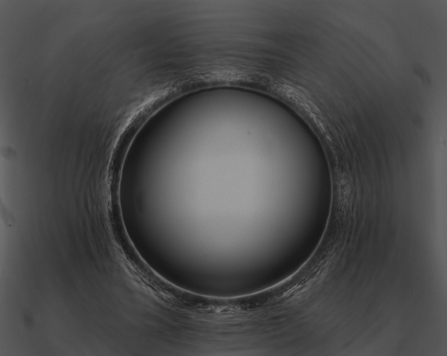 X0000090710395200708031437