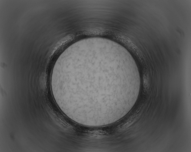 X0000090710396200708031437