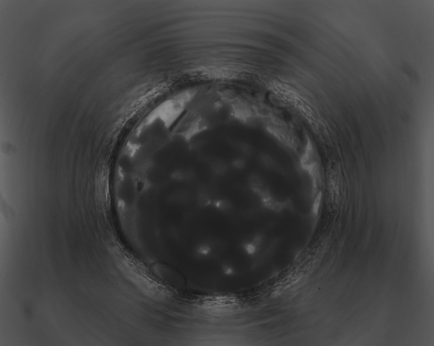 X0000090710398200708031437