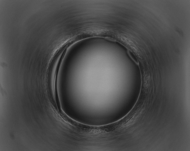 X0000090710399200708031437