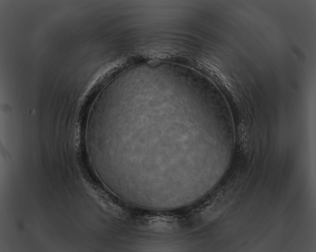 X0000090710400200708031437