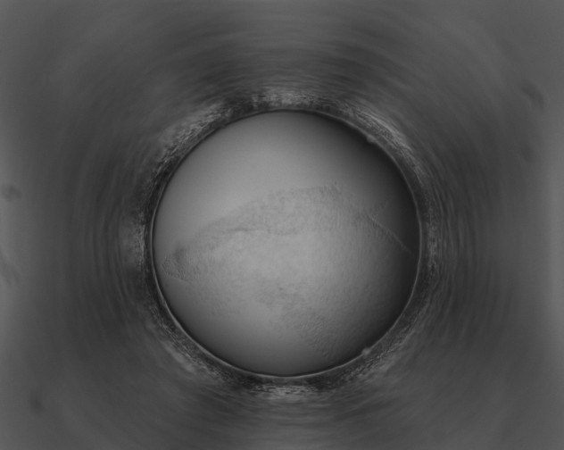 X0000090710401200708031437