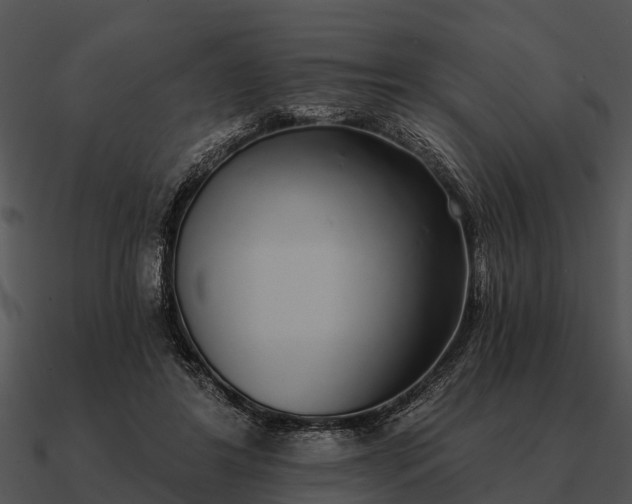 X0000090710404200708031437