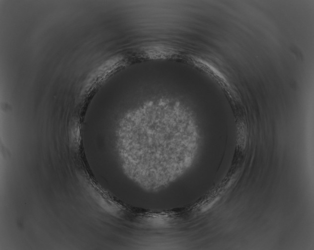 X0000090710405200708031437