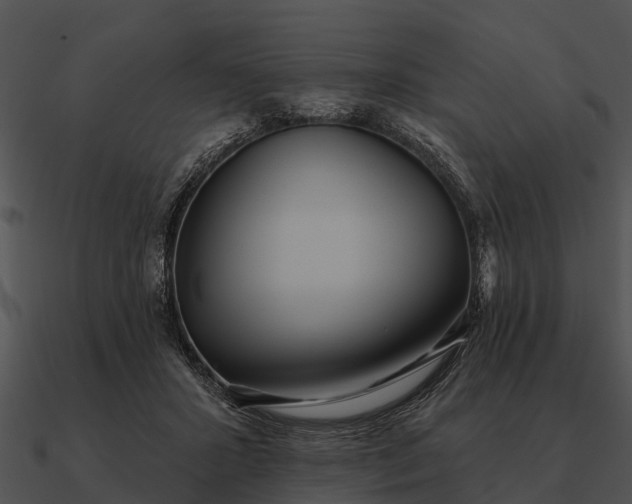 X0000090710407200708031437