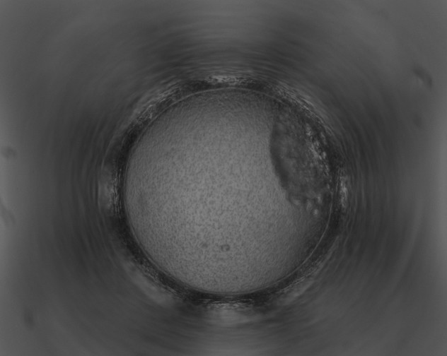 X0000090710408200708031437