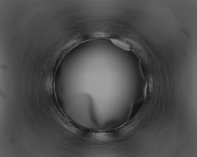 X0000090710409200708031437