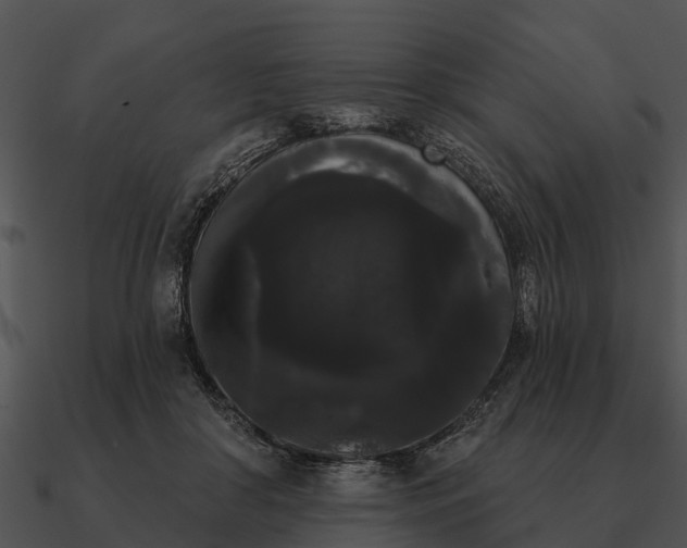 X0000090710410200708031437