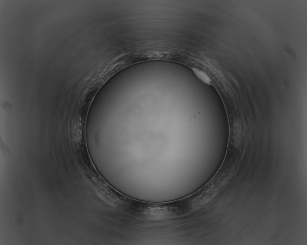 X0000090710413200708031437