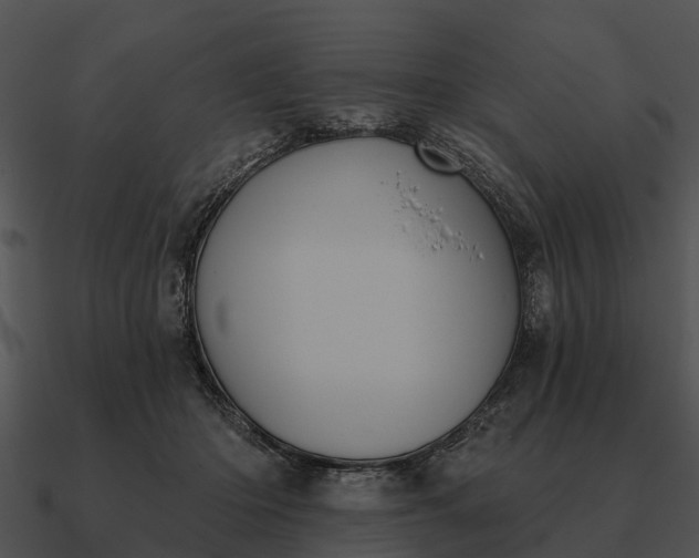 X0000090710414200708031437