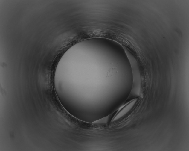 X0000090710416200708031437