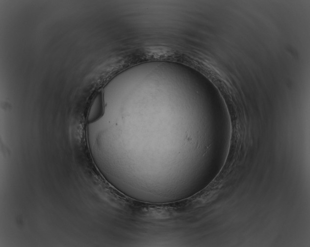 X0000090710417200708031437