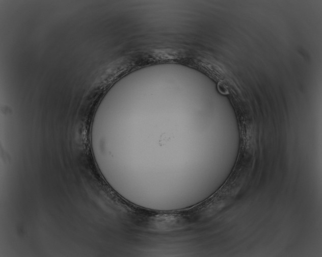 X0000090710418200708031437