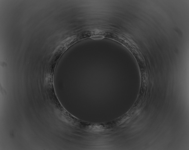 X0000090710419200708031437