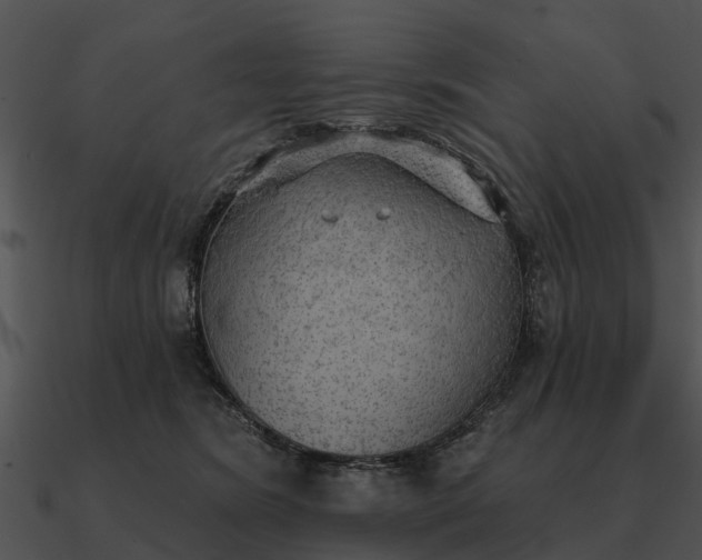 X0000090710420200708031437