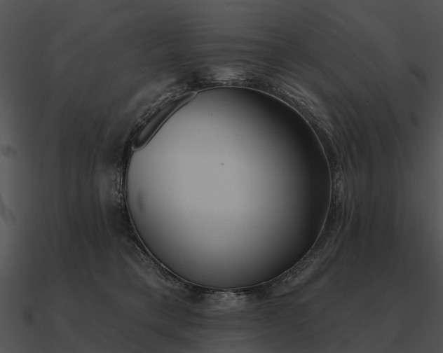 X0000090710421200708031437