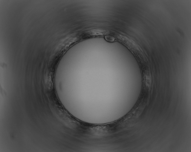 X0000090710422200708031437