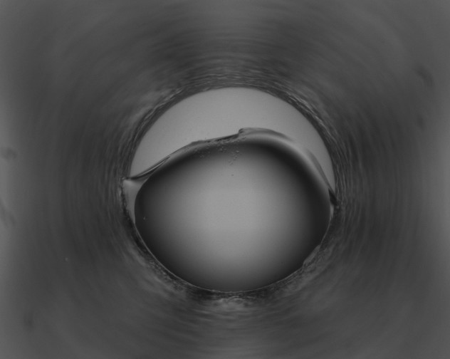 X0000090710423200708031437