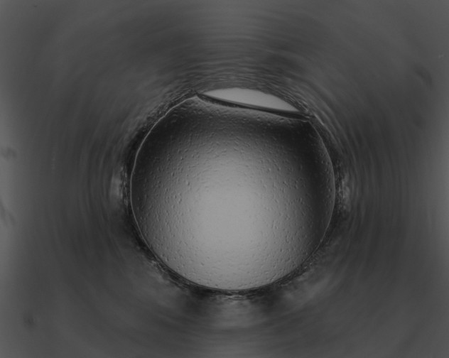 X0000090710424200708031437