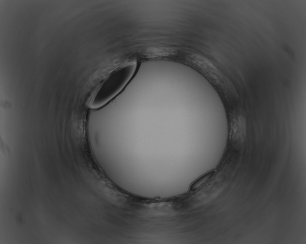 X0000090710426200708031437