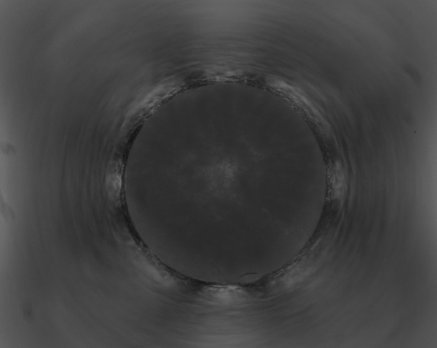 X0000090710427200708031437