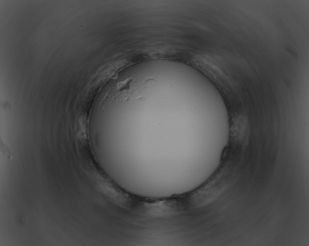 X0000090710430200708031437