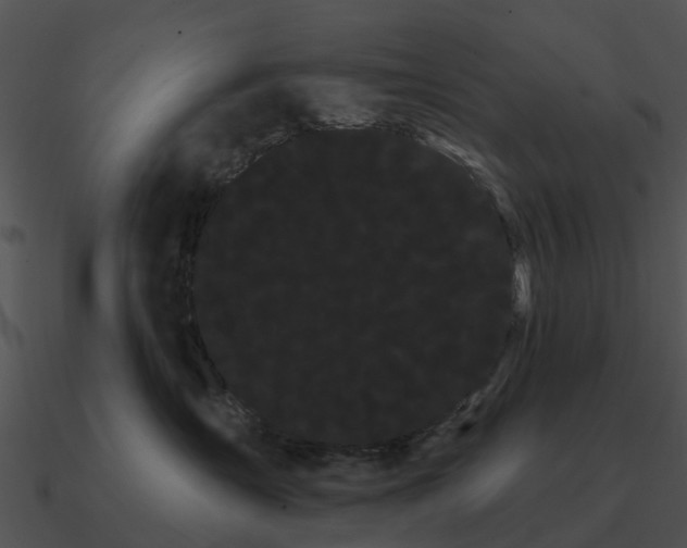 X0000090710431200708031437