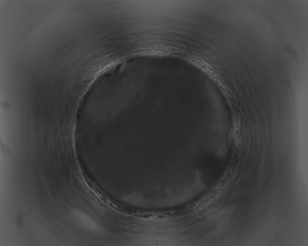 X0000090710434200708031436