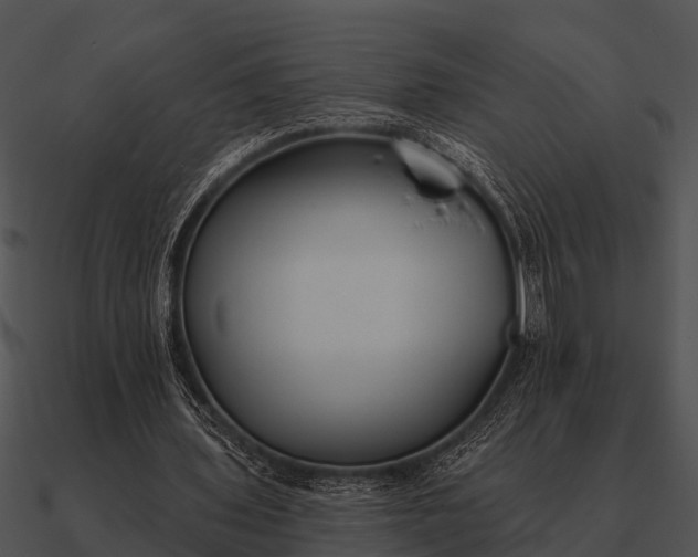 X0000090710435200708031436