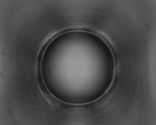 X0000090710436200708031436