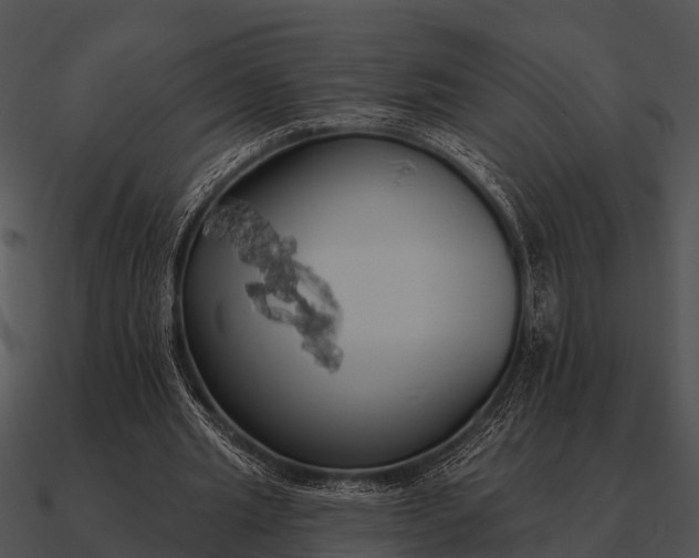 X0000090710437200708031436