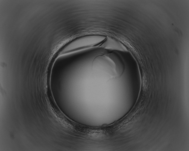 X0000090710438200708031436