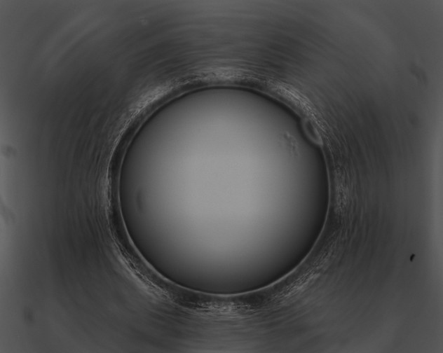 X0000090710439200708031436