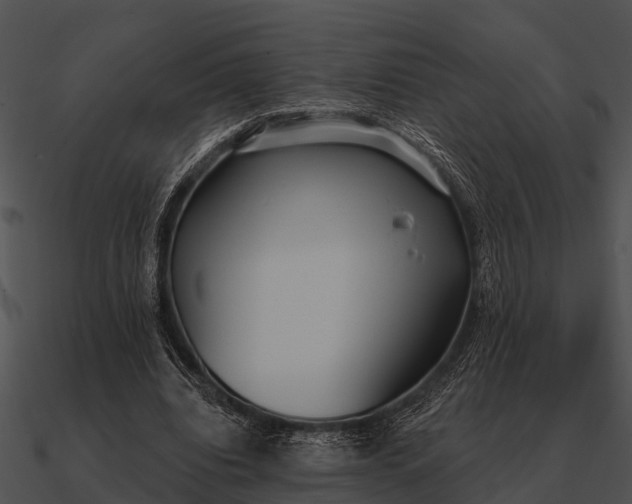 X0000090710440200708031436