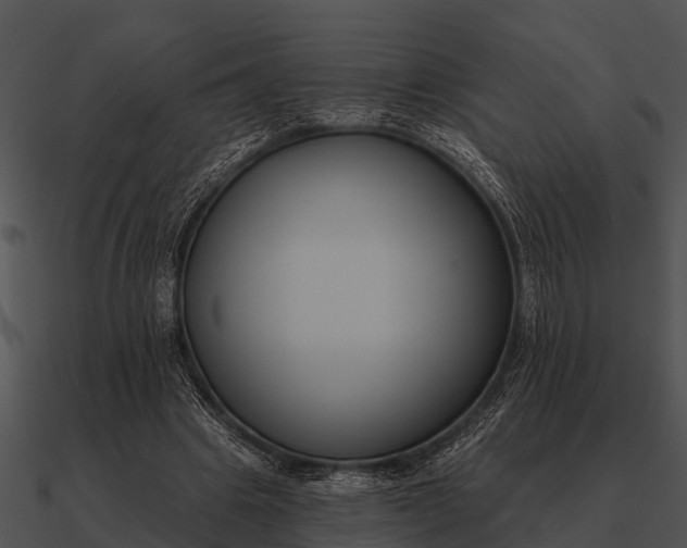 X0000090710441200708031436