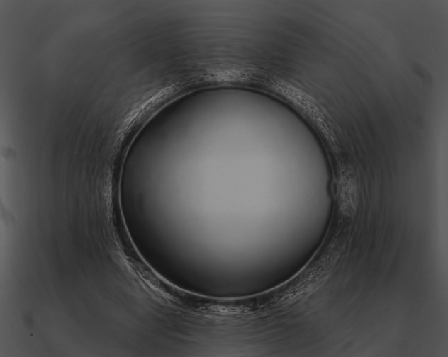 X0000090710442200708031436