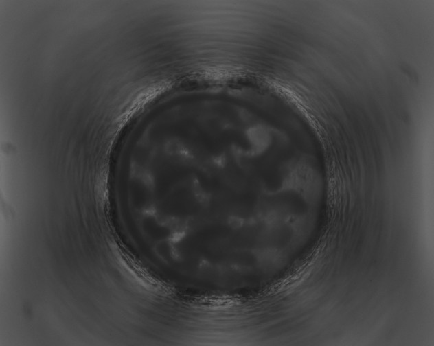 X0000090710443200708031436