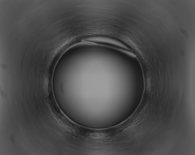 X0000090710444200708031436