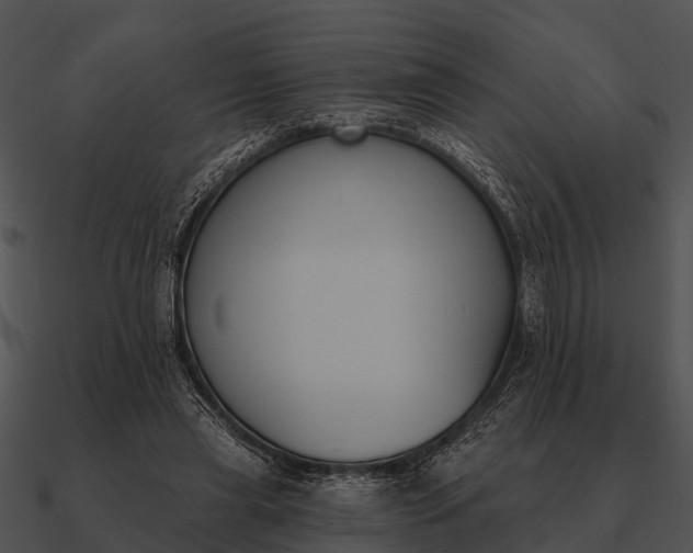 X0000090710445200708031436